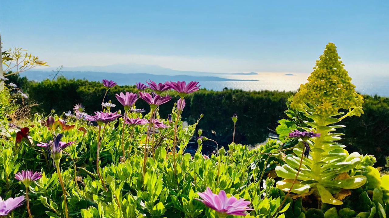 Vue Mer Panoramique Et Piscine Bandol Exteriér fotografie