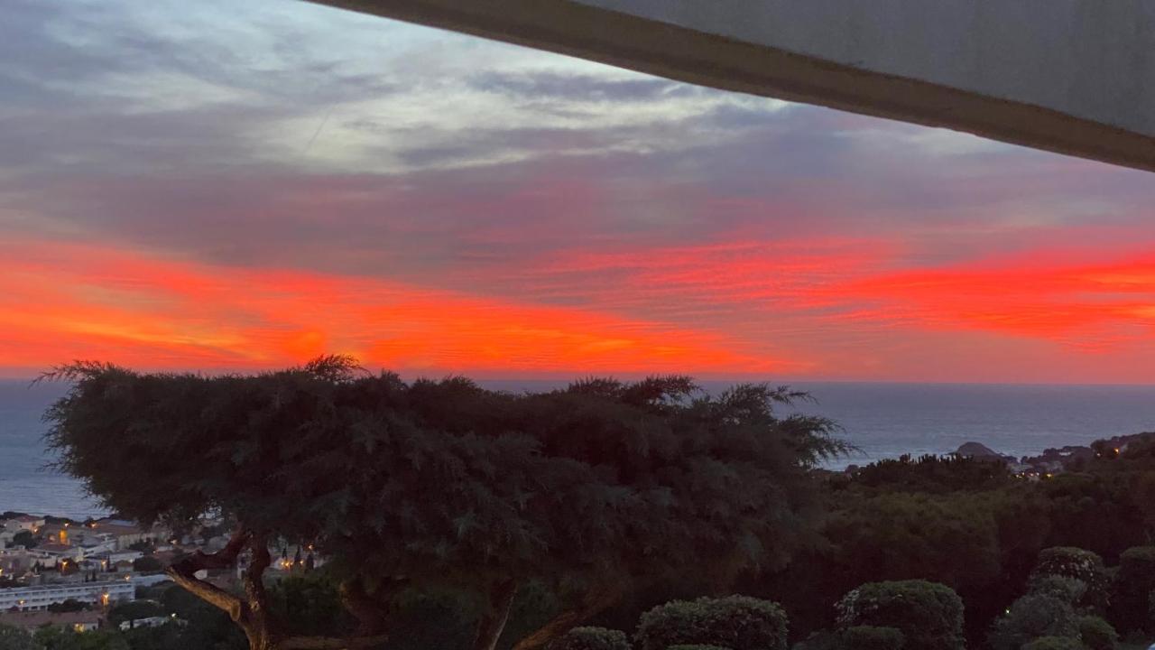 Vue Mer Panoramique Et Piscine Bandol Exteriér fotografie