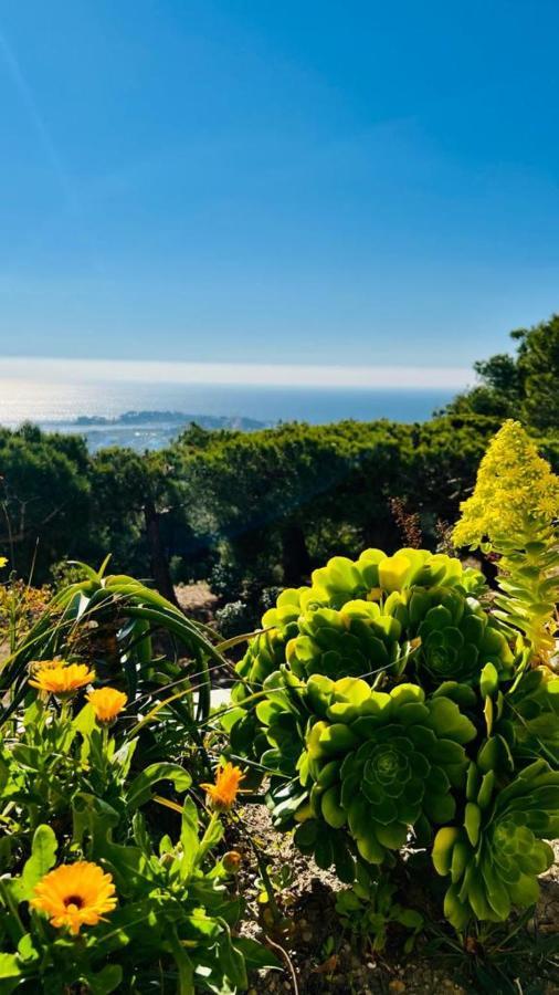 Vue Mer Panoramique Et Piscine Bandol Exteriér fotografie